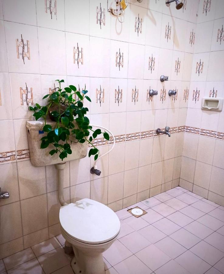 Anjunapalms Guesthouse Εξωτερικό φωτογραφία
